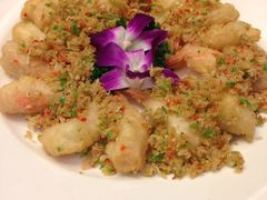 -山珍王国·云南野生菌石锅鱼