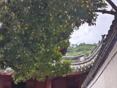 -宁波市保国寺古建筑博物馆