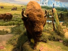 -陕西自然博物馆