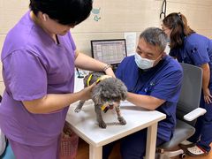 -北京观赏动物医院·24小时大型综合·猫专科·异宠专科