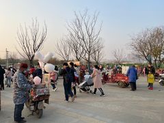 -盘龙城国家考古遗址公园