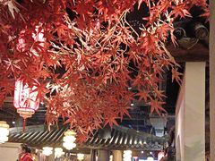 -蓉城老妈火锅(双林路店)