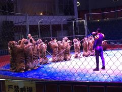 -西安秦岭野生动物园