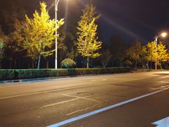 -上海夏阳湖皇冠假日酒店-停车场