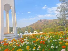 -名花谷生态庄园