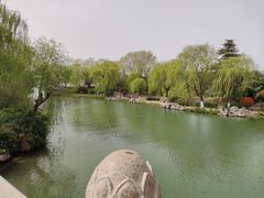 -前关湿地公园