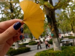 -百林公园-两江幸福广场