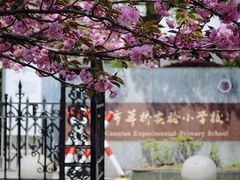 -苏州公园(双塔街道)