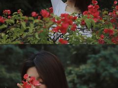 -深圳仙湖植物园-停车场