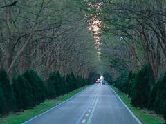 -黄海国家森林公园