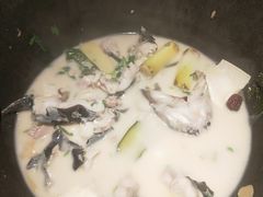 -鲜潭蒸汽石锅鱼(五道口购物中心店)