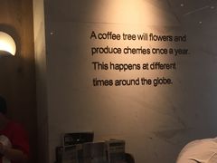 -星巴克(汾阳路店)