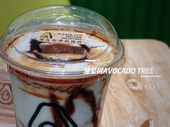 -油梨树 AVOCADO TREE(亮马桥店)