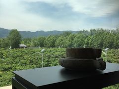 -那家山城(樱桃园店)