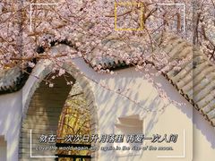 -桃花堤公园