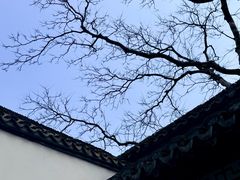 -上海醉白池公园