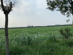 -天津东丽湖风景区