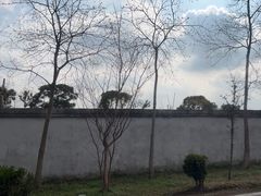 -安飞驰驾校·学车连锁(金高店)