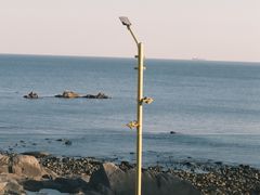 -致璞ZHIPU Rolling on(青岛极地店)