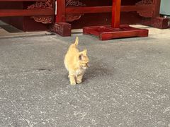 -宝通禅寺
