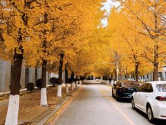 -东北大学(南湖校区)