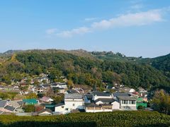 -龙井村