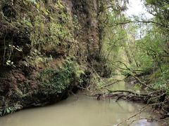 -怀托摩萤火虫洞