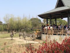 -宁波野生动物园
