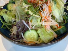 -巷子宽·酸菜鱼(迪士尼小镇店)