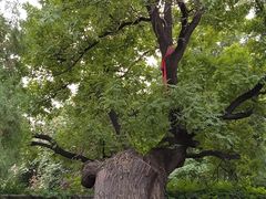 -天宁寺