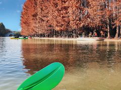 -上海海湾国家森林公园