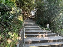 -羚羊峡古栈道森林公园