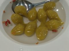 -新楚记