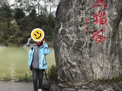-西月城谭豆花(春熙路店)