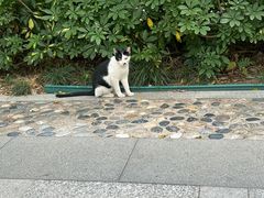 -厦门国家会计学院