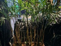 -西郊八号·山野江西菜(开发区店)