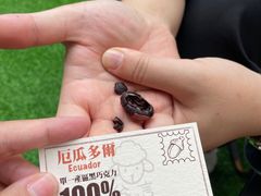 -SANYAY叁言咖啡巧克力