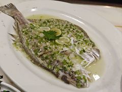 -稻香酒家·35年老字号(侨光店)