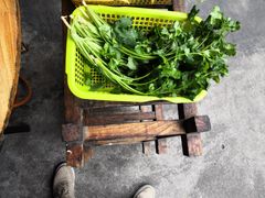 -章记正宗南岗鱼蛋火锅