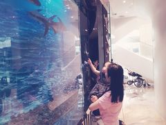 -诺莱仕游艇会