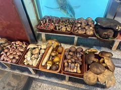 -草墩罗非鱼庄•野生菌•腊排骨(七星街上段店)