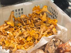 -滇野云南野生菌餐厅(陕西南路店)