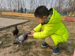 -上美四季动物农场