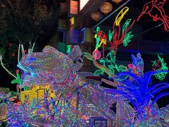 -南宫五洲植物乐园