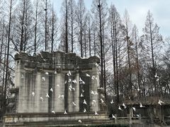 -音乐台