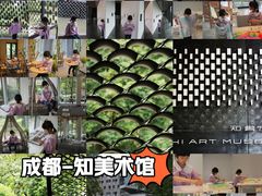 -知美术馆