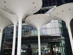 -新荟城(望京店)