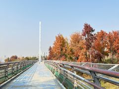 -合肥野生动物园