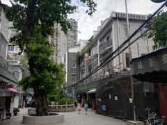 -华林禅寺
