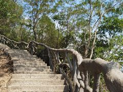 -梧桐山风景名胜区